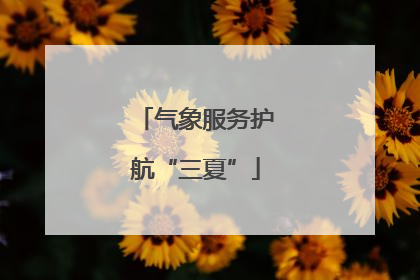 气象服务护航“三夏”