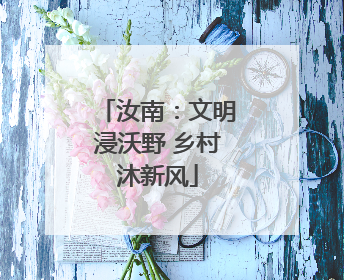 汝南：文明浸沃野 乡村沐新风