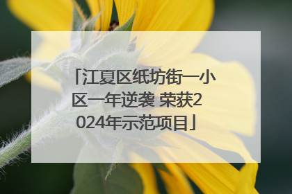 江夏区纸坊街一小区一年逆袭 荣获2024年示范项目