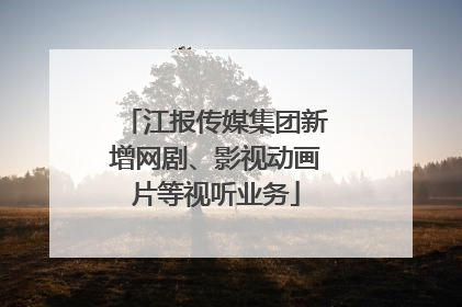 江报传媒集团新增网剧、影视动画片等视听业务