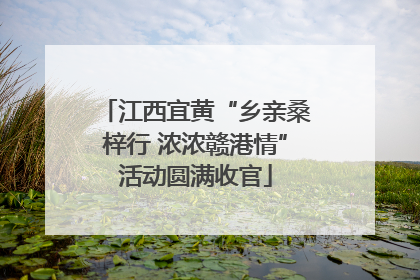 江西宜黄“乡亲桑梓行 浓浓赣港情”活动圆满收官
