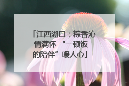 江西湖口：粽香沁 情满怀 “一顿饭的陪伴”暖人心