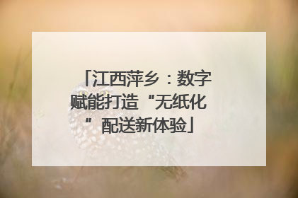 江西萍乡：数字赋能打造“无纸化”配送新体验