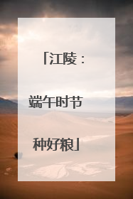 江陵：端午时节种好粮