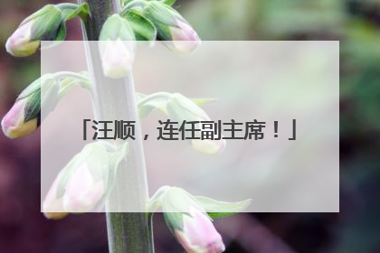 汪顺，连任副主席！