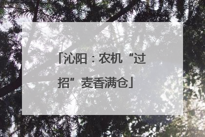 沁阳：农机“过招”麦香满仓