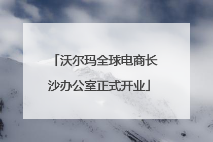 沃尔玛全球电商长沙办公室正式开业