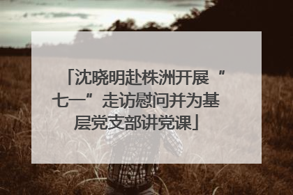 沈晓明赴株洲开展“七一”走访慰问并为基层党支部讲党课