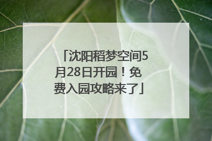 沈阳稻梦空间5月28日开园！免费入园攻略来了
