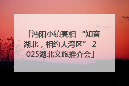 沔阳小镇亮相 “知音湖北，相约大湾区” 2025湖北文旅推介会