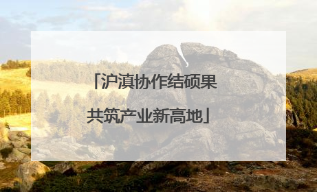 沪滇协作结硕果 共筑产业新高地