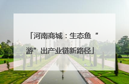 河南商城：生态鱼“游”出产业链新路径