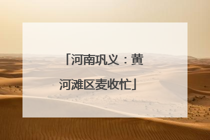 河南巩义：黄河滩区麦收忙