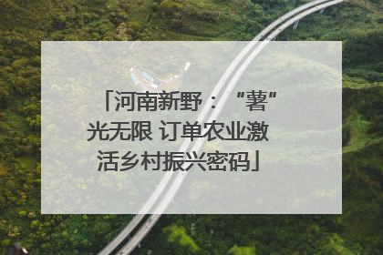 河南新野：“薯”光无限 订单农业激活乡村振兴密码