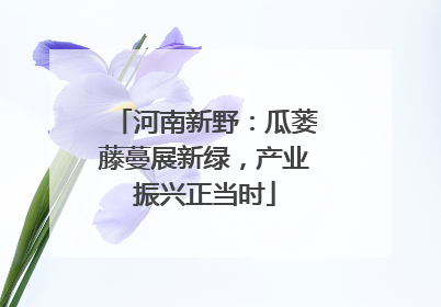 河南新野：瓜蒌藤蔓展新绿，产业振兴正当时