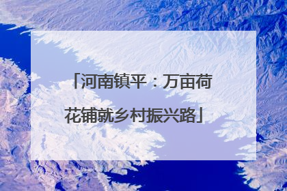 河南镇平：万亩荷花铺就乡村振兴路