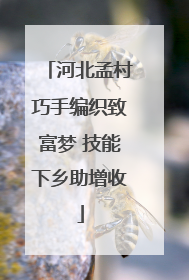 河北孟村巧手编织致富梦 技能下乡助增收