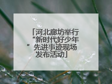 河北廊坊举行“新时代好少年”先进事迹现场发布活动