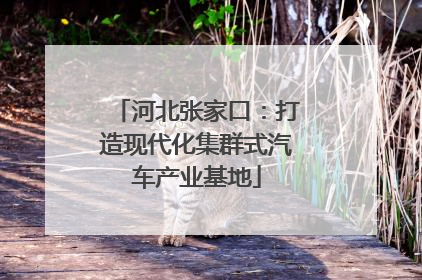 河北张家口：打造现代化集群式汽车产业基地