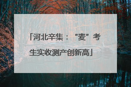 河北辛集：“麦”考生实收测产创新高