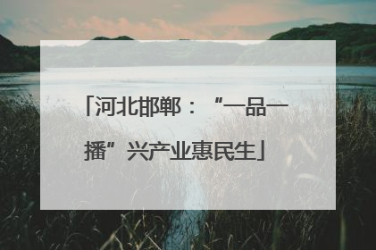 河北邯郸：“一品一播”兴产业惠民生