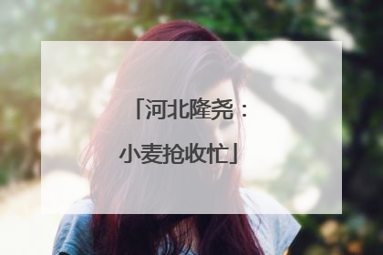 河北隆尧：小麦抢收忙
