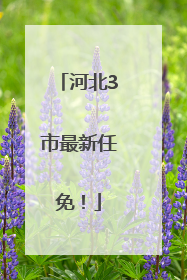 河北3市最新任免！