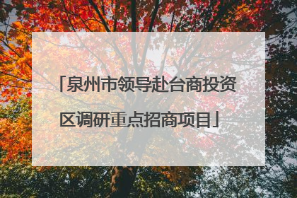 泉州市领导赴台商投资区调研重点招商项目