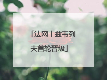法网丨兹韦列夫首轮晋级