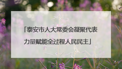 泰安市人大常委会凝聚代表力量赋能全过程人民民主