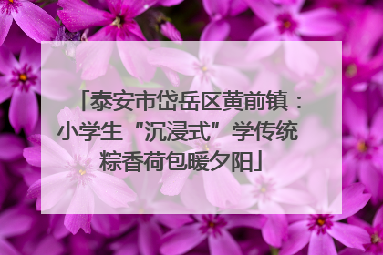 泰安市岱岳区黄前镇：小学生“沉浸式”学传统 粽香荷包暖夕阳