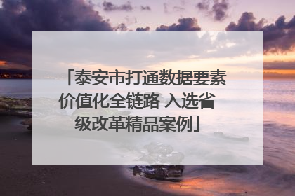 泰安市打通数据要素价值化全链路 入选省级改革精品案例