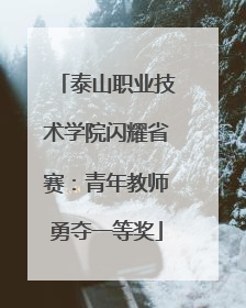 泰山职业技术学院闪耀省赛：青年教师勇夺一等奖