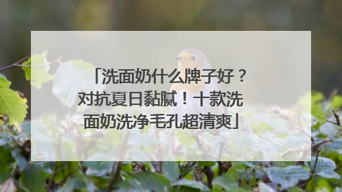 洗面奶什么牌子好？对抗夏日黏腻！十款洗面奶洗净毛孔超清爽