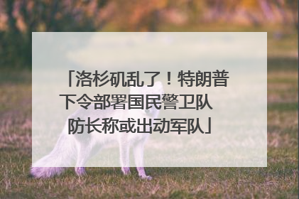洛杉矶乱了！特朗普下令部署国民警卫队 防长称或出动军队