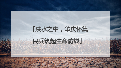 洪水之中，肇庆怀集民兵筑起生命防线