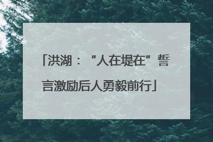 洪湖：“人在堤在”誓言激励后人勇毅前行