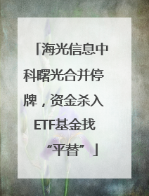 海光信息中科曙光合并停牌，资金杀入ETF基金找“平替”