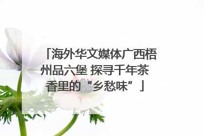 海外华文媒体广西梧州品六堡 探寻千年茶香里的“乡愁味”