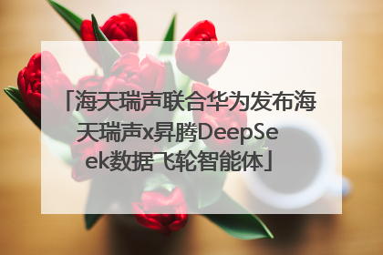 海天瑞声联合华为发布海天瑞声x昇腾DeepSeek数据飞轮智能体