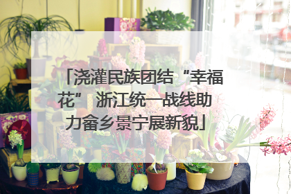 浇灌民族团结“幸福花” 浙江统一战线助力畲乡景宁展新貌