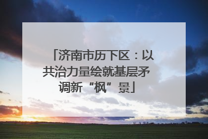 济南市历下区：以共治力量绘就基层矛调新“枫”景