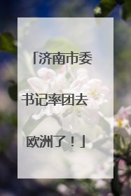 济南市委书记率团去欧洲了！