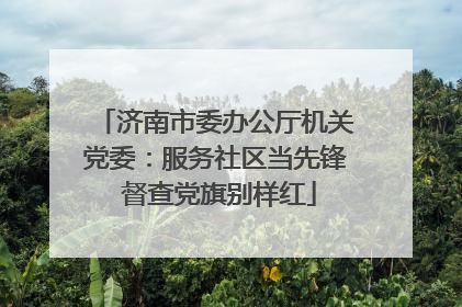 济南市委办公厅机关党委：服务社区当先锋 督查党旗别样红