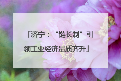 济宁：“链长制”引领工业经济量质齐升