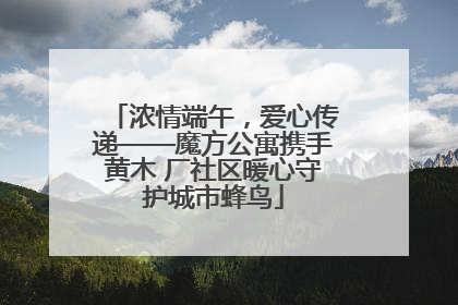 浓情端午，爱心传递——魔方公寓携手黄木 厂社区暖心守护城市蜂鸟