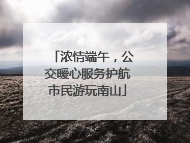 浓情端午，公交暖心服务护航市民游玩南山