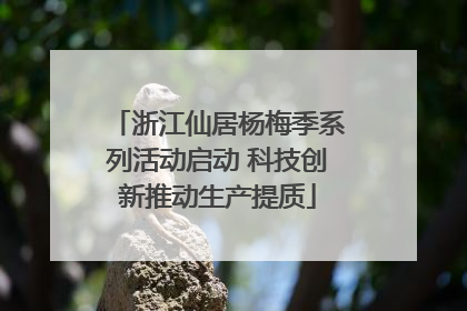 浙江仙居杨梅季系列活动启动 科技创新推动生产提质