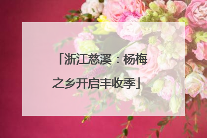 浙江慈溪：杨梅之乡开启丰收季