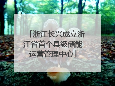 浙江长兴成立浙江省首个县级储能运营管理中心